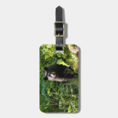 Étiquette À Bagage Curieux ours noir (Devant Vertical)