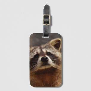 Étiquette À Bagage Curieux Raccoon