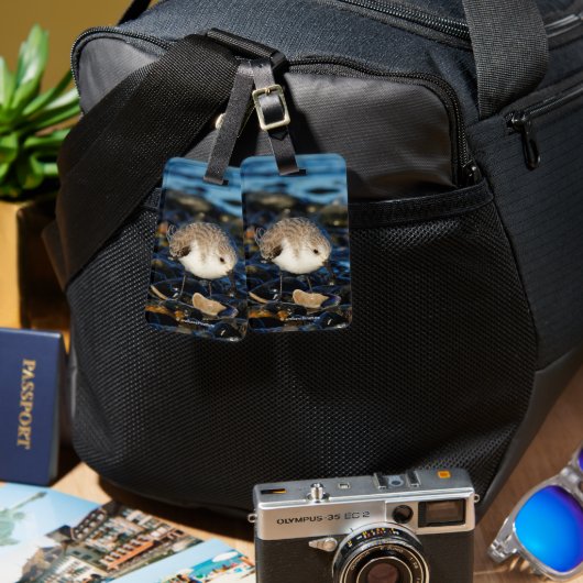 Étiquette À Bagage Cute Sanderling Déguste Des Fruits De Mer À La Pla (Recto & Verso)