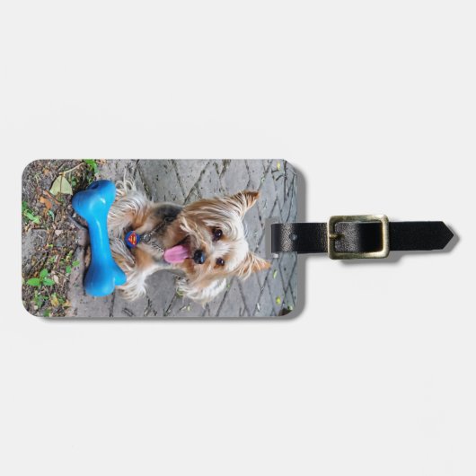 Étiquette À Bagage Cute Terrier (Devant horizontal)