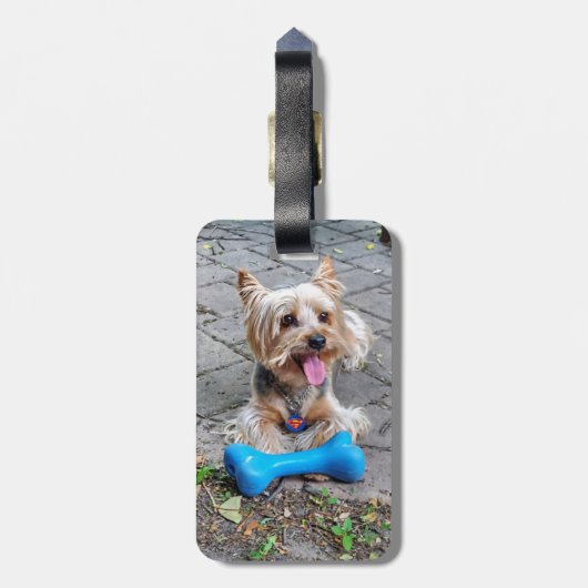 Étiquette À Bagage Cute Terrier (Dos Vertical)