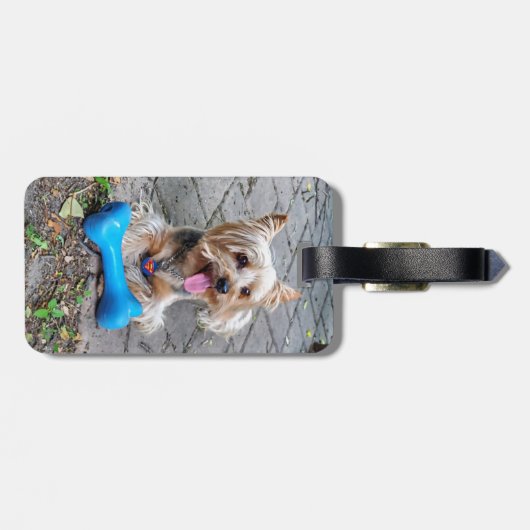Étiquette À Bagage Cute Terrier (Dos horizontal)