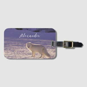 Étiquette À Bagage Cute White Arctic Fox neige hiver Photographie