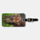 Étiquette À Bagage Cutest Baby Animals | Cow & Calf (Devant horizontal)