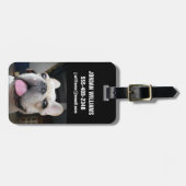 Étiquette À Bagage Cutest Baby Animals | French Bulldog Face (Devant horizontal)