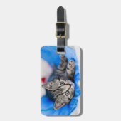 Étiquette À Bagage Cutest Baby Animals | Tabby Kitten in Play Tunnel (Devant Vertical)