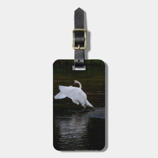 Étiquette À Bagage Cygne trompette (Devant Vertical)