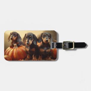 Étiquette À Bagage Dachshund Chiot Automne Citrouille de plaisir