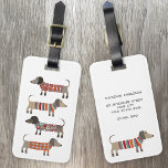 Étiquette À Bagage Dachshund Saucisse Chien Nom Personnalisé<br><div class="desc">Mignonne petite saucisse Dachshund ou des chiens édulcorés en laine. Parfait pour les amoureux de les chiens et les promeneurs de chiens. Modifiez les coordonnées au verso.</div>