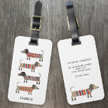 Étiquette À Bagage Dachshund Saucisse Chien Nom Personnalisé<br><div class="desc">Mignonne petite saucisse Dachshund ou des chiens édulcorés en laine. Parfait pour les amoureux de les chiens,  les gardiens de chiens et les promeneurs de chiens. Modifiez le nom sur le devant et les coordonnées sur le dos.</div>