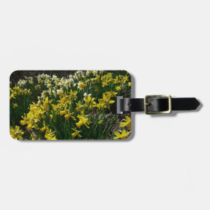 Étiquette À Bagage Daffodiles jaunes et blancs Fleurs de printemps