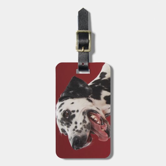 Étiquette À Bagage Dalmate (Devant Vertical)