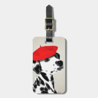 Dalmate avec le béret rouge