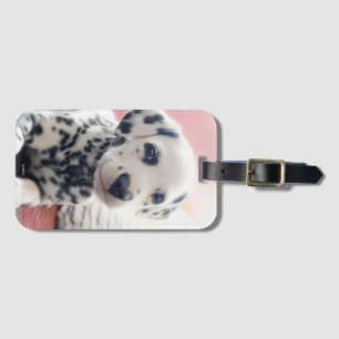 Étiquette À Bagage Dalmatien Nez de Coeur