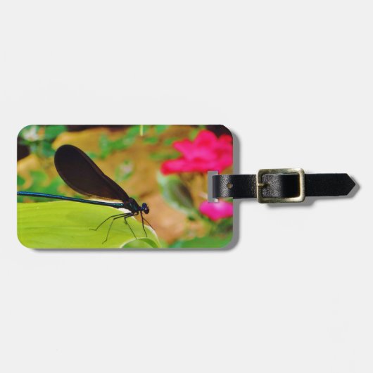 Étiquette À Bagage Damselfly et Rose (Devant horizontal)