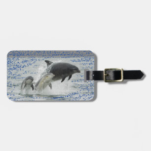Étiquette À Bagage Dauphins