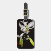 Étiquette À Bagage Design irlandais - Collection de laiton et de fleu (Devant Vertical)