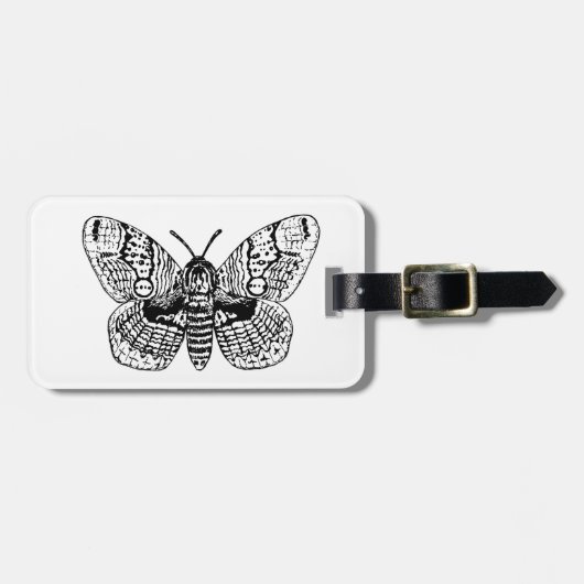 Étiquette À Bagage Dessin Brahmin moth (Devant horizontal)