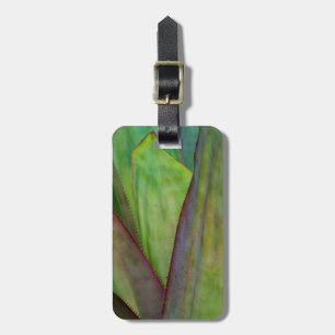 Étiquette À Bagage Détail de la plante d'Agave