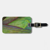 Étiquette À Bagage Détail du Plante Agave (Devant horizontal)