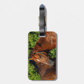 Étiquette À Bagage Deux beaux chevaux de châtaignes au soleil (Dos Vertical)