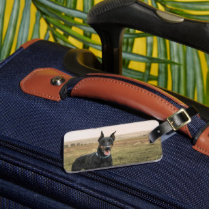 Étiquette À Bagage Doberman Pinscher En Champ