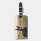 Étiquette À Bagage Doberman Pinscher En Champ (Devant Vertical)
