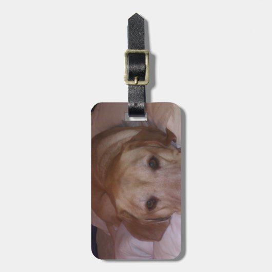 Étiquette À Bagage Dogonit… (Devant Vertical)