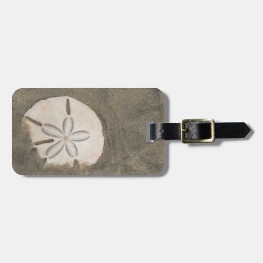 Étiquette À Bagage Dollar de sable (Echinarachnius parma) (Devant horizontal)