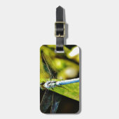 Étiquette À Bagage Dragonfly bleu clair (Devant Vertical)