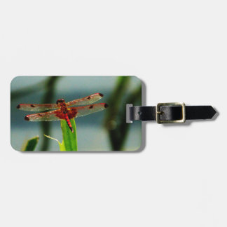 Étiquette À Bagage Dragonfly rouge et noire tachetée