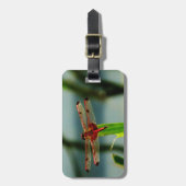 Étiquette À Bagage Dragonfly rouge et noire tachetée (Devant Vertical)