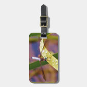 Étiquette À Bagage Dragonfly sur la feuille de pluie (Devant Vertical)