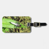 Étiquette À Bagage Dragonfly sur une feuille (Devant horizontal)