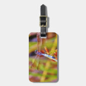 Étiquette À Bagage Dragonfly turquoise sur le carex (Devant Vertical)