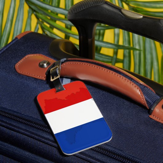 Étiquette À Bagage drapeau français (Insitu Rectoal 1)