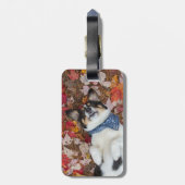 Étiquette À Bagage Drôle, mignon, regard de corgi (Dos Vertical)