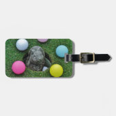 ÉTIQUETTE À BAGAGE DSCF0698.JPG (Devant horizontal)