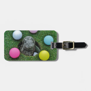 ÉTIQUETTE À BAGAGE DSCF0698.JPG