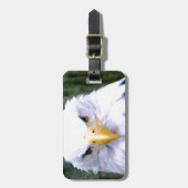 Étiquette À Bagage Eagle chauve (Devant Vertical)