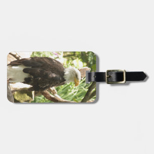 Étiquette À Bagage Eagle chauve