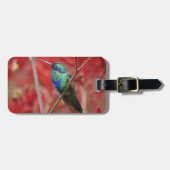 Étiquette À Bagage Éclat Iridescendant (Devant horizontal)