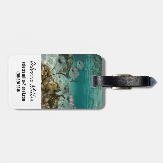 Étiquette À Bagage École de permis de pêche (Dos horizontal)