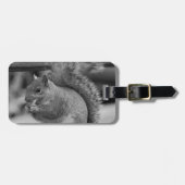 Étiquette À Bagage Écureuil (Devant horizontal)