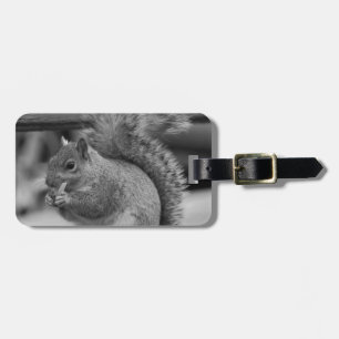 Étiquette À Bagage Écureuil
