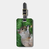 Étiquette À Bagage Écureuil avec l'étiquette de bagage d'écrou (Devant Vertical)