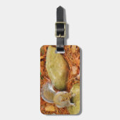 Étiquette À Bagage Écureuil Brown sur le rocher (Devant Vertical)