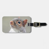 Étiquette À Bagage Écureuil mignon (Devant horizontal)