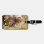 Étiquette À Bagage Écureuil pelucheux mignon (Devant horizontal)