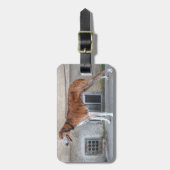 Étiquette À Bagage Elder Brindle Greyhound (Devant Vertical)